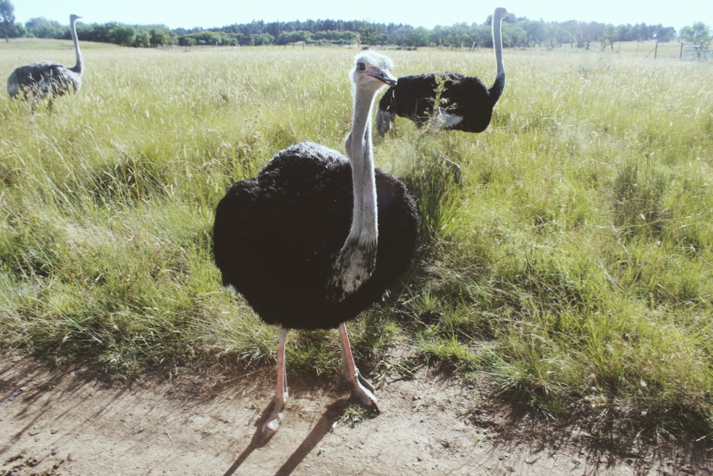 Processed with VSCO with m3 preset
