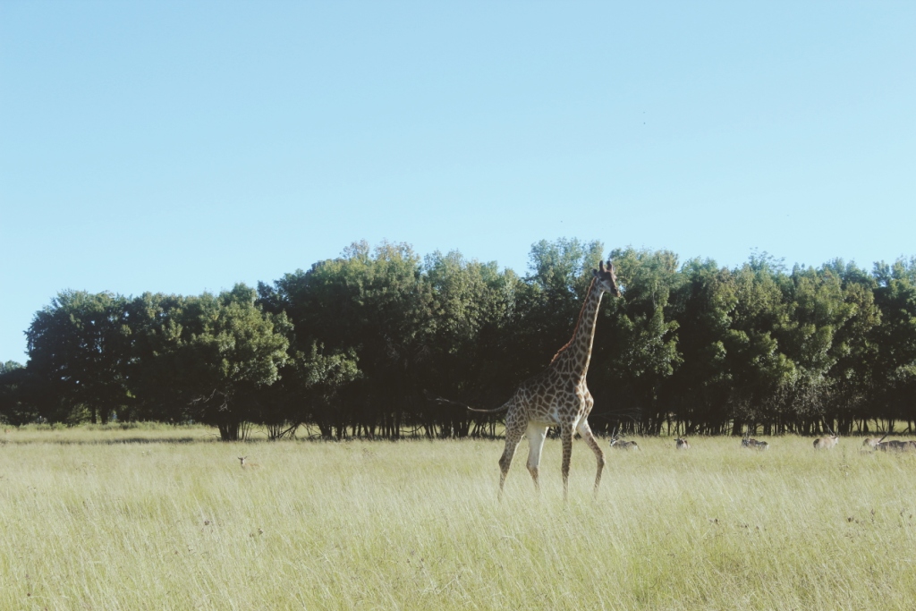 Processed with VSCO with m3 preset